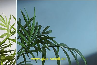 (c) 2004 www.Glas-Scholl.de